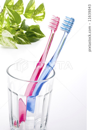 Toothbrush 11639843