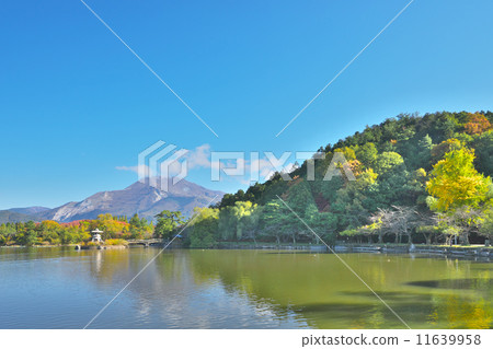 秋島三島池塘 11639958