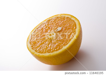Orange Orange 11640195