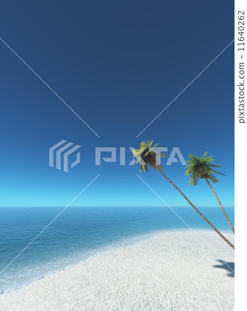 Beach and coconut Beach and coconut 11640262