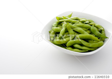 毛豆 11640310