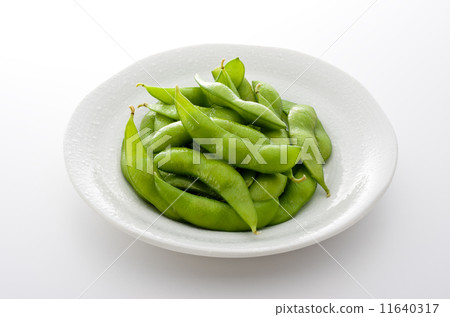 毛豆 11640317