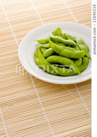 毛豆 11640319