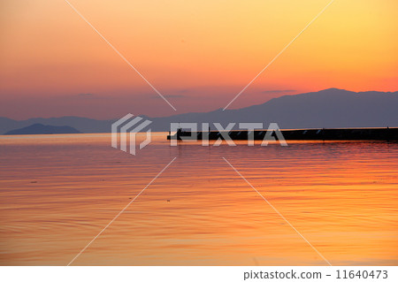 Evening landscape of the lake 11640473