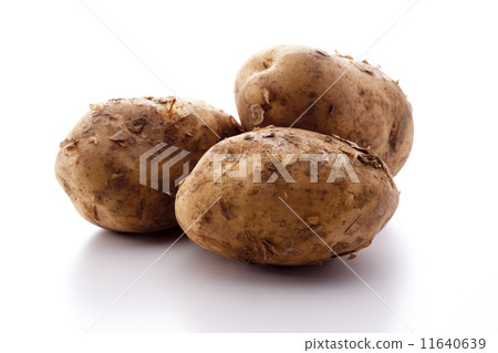 Potatoes 11640639
