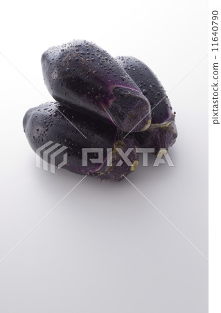 水茄子 水茄子 11640790