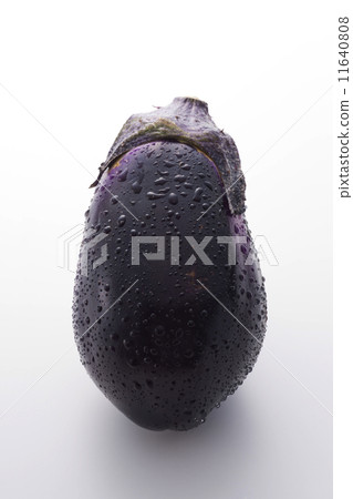 Water eggplant Water eggplant 11640808