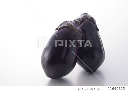 水茄子 水茄子 11640815