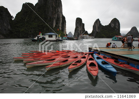 Vietnam Halong Bay Vietnam Halong Bay 11641869