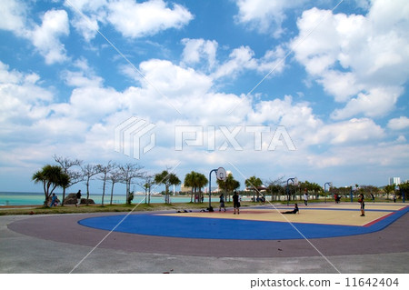 沖繩·海灘 11642404