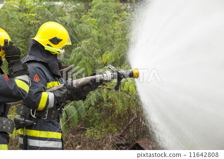 Wildfire Wildfire 11642808