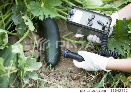 Measuring radiation Measuring radiation 11642812