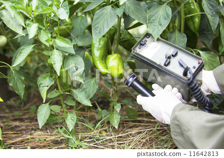 Measuring radiation Measuring radiation 11642813
