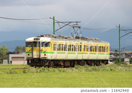 彌彥線115系列車(1人2輛:東三條⇔吉田~彌彥) 彌彥線115系列車(1人2輛:東三條⇔吉田~彌彥) 11642948