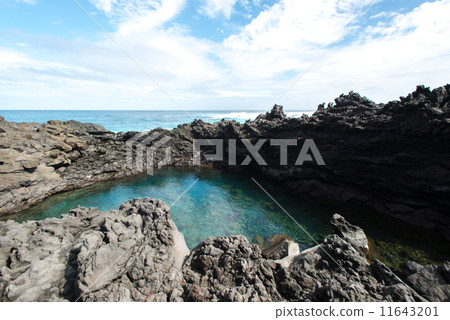 Reef 11643201
