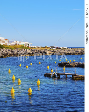 Yellow Buoys 11643705