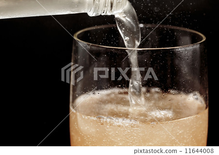 碳酸飲料 11644008