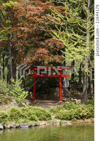 臥龍公園 11644178