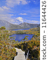 搖籃山塔斯馬尼亞島澳大利亞 11644426