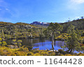 搖籃山塔斯馬尼亞島澳大利亞 11644428