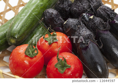 Hida's vegetables Hida's vegetables 11644597