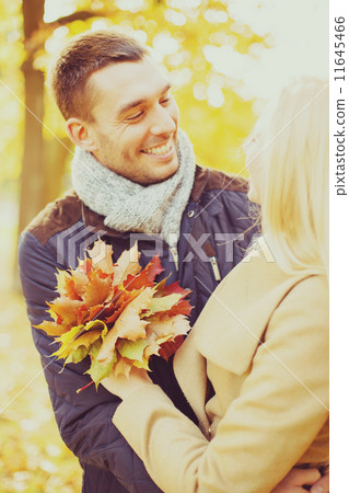 romantic couple in the autumn park 11645466