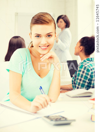 student girl at school 11645745