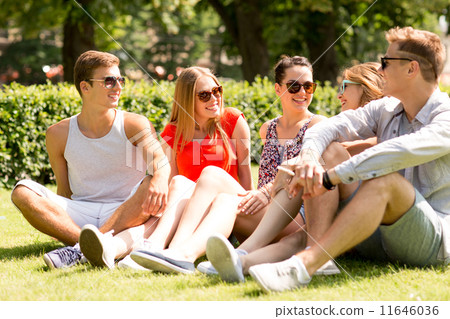 group of smiling friends outdoors sitting on grass 11646036