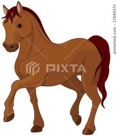Purebred horse Purebred horse 11649272