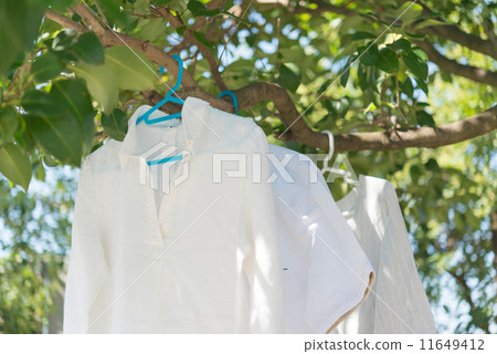 Hang up the laundry 11649412