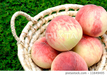 Momo basket 11649495