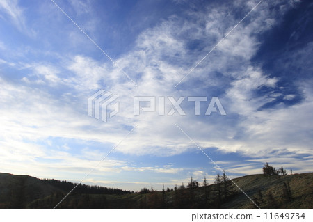 傳播在Mikahara高原的秋天天空 11649734