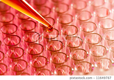 Pipette load samples 11649787