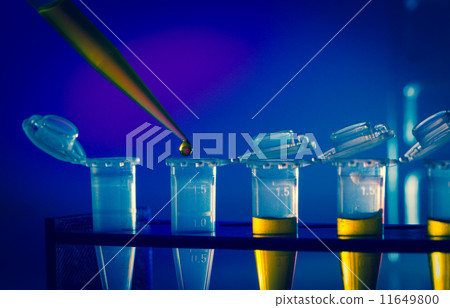 immunological research 11649800