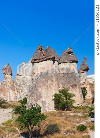 Rock formations in Cappadocia Turkey 11650121