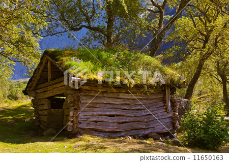 Old house near Briksdal glacier - Norway 11650163