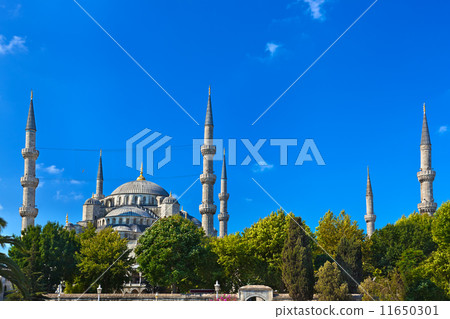 Blue mosque in Istanbul Turkey 11650301
