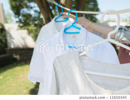 Laundry Laundry 11650345