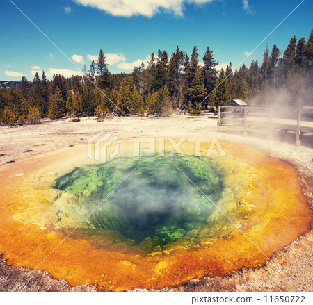 Morning Glory Pool 11650722