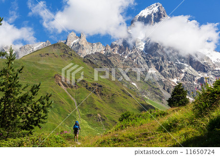 Hike in mountains Hike in mountains 11650724