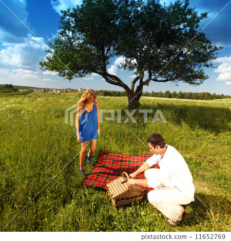 picnic 11652769