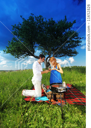 picnic picnic 11652826