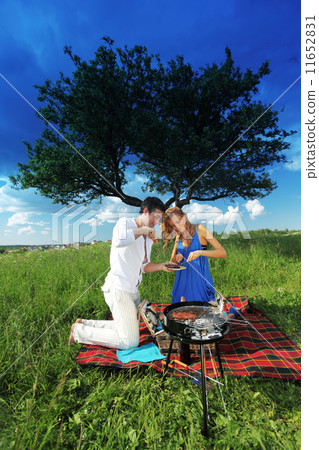 picnic 11652831