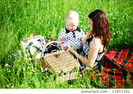 family picnic family picnic 11653391
