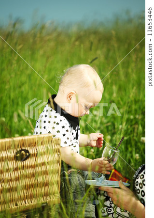 family picnic family picnic 11653446