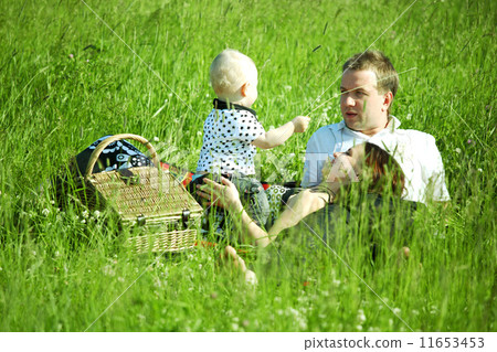 family picnic family picnic 11653453