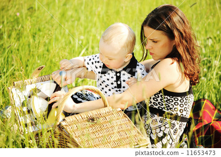 family picnic family picnic 11653473