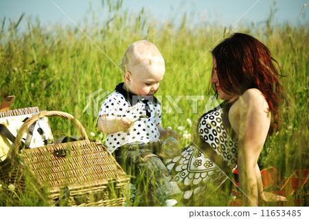 family picnic family picnic 11653485