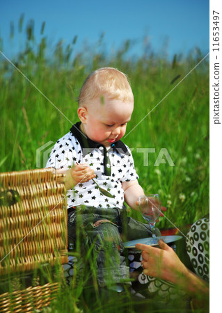 family picnic family picnic 11653497