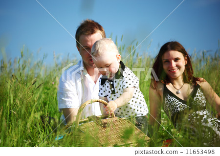 family picnic 11653498
